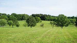 Check spelling or type a new query. Learning The History Of Pontiac S Rebellion At Bushy Run Battlefield