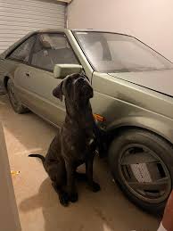 Anyone here found an option for front/side skirts? In a perfect world I'd  buy mk1/mk2 lips/skirts but that'll never happen. I know s13 skirts fit  with some modification so I was going