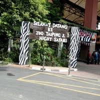 Aktiviti csr yang dijalankan di zoo taiping & night safari lebih terjurus kepada aktiviti pembersihan kawasan pameran haiwan yang terlibat. Zoo Taiping Night Safari Zoo In Taiping