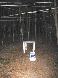 We Have Re Located And Enlarged The Spiderweb Area Of Our Haunted Trail This Year Which Is Goi Haunted Trail Ideas Haunted Hayride Scary Halloween Decorations
