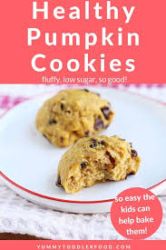 Favorite Chocolate Chip Pumpkin Cookies Light Fluffy And So Good Recipe Pumpkin Chocolate Chip Cookies Pumpkin Cookies Healthy Healthy Chocolate Chip