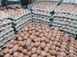 Telur ayam ( orak arik ) telur ayam gulung telur ayam ( telur sayur sop sederhana. Harga Telur Ayam Di Kota Jayapura Kembali Normal I Papua