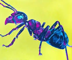 Ant Painting Original Animal Painting Ants Painting