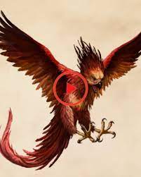 Phoenix Harry Potter Wiki Fandom Bereitgestellt Von Wikia Harry Potter Wiki Phoenix Harry Potter Harry Potter