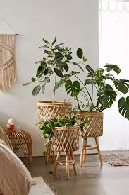 Greatbigcanvas.com has been visited by 10k+ users in the past month Rattan Standing Planter House Plants Decor Plant Decor Indoor Decor