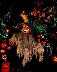 Profile for Adrenalin Attractions