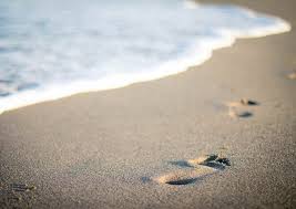 Tripadvisor has 147,755 reviews of la rochelle hotels, attractions, and restaurants making it your best la rochelle resource. Private Beaches La Rochelle 17 Charente Maritime