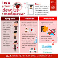 Check spelling or type a new query. Dengue Hemorrhagic Fever Is Deadly But Preventable Global Standard Insurance Company In Thailand Generali