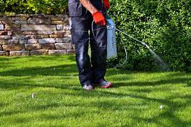Lawn Spraying Companies & Services - HomeGuide