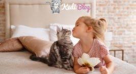 Kediye Ilac Nasil Icirilir Kedi Blog