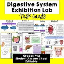 The serosa (or visceral peritoneum) is an outer serous membrane which covers digestive organs; Explore Biology Digestive System Lab Answers Digestive System Teacher Resources