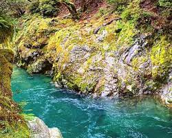 From $47 /night bandon by the sea rv park bandon, oregon reviews 0 | photos 3. Rogue River Siskiyou National Forest Elk River