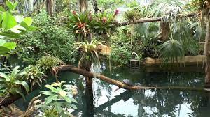 Der restaurantführer bietet fotos, öffnungszeiten, bewertungen und mehr. Tiergarten Nurnberg Manatihaus Und Aquarium On Vimeo