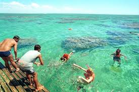 Natal se caracteriza por tener un clima tropical húmedo, contando con temperaturas elevadas natal es una ciudad que se caracteriza por sus hermosas playas, las cuales se encuentran ubicadas a lo. Maracajau Von Natal 2021 Tiefpreisgarantie