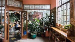 The Best Cafes In Auckland New Zealand In 2020 Best Kitchen Lighting Auckland New Zealand