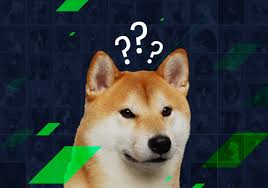 What Breed Is Doge Did You Know That The Popular By Elena Stormgain Crypto Medium