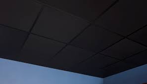 Browse a wide selection of ceiling tile designs on houzz, including tin ceiling tiles, suspended and drop ceiling tiles and acoustic ceiling tiles. Forever Genesis Smooth 2 X 4 Ceiling Tiles 745 07 Box Of 10 Black Tiles