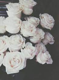 Thousands of new background images added every day. Fancy Flowers White Roses White Flowers