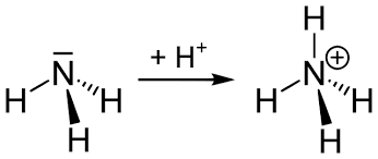 Unionized Ammonia Calculator Keep Your Fish Safe