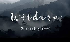 The best selection of handwriting fonts for windows and macintosh. 30 Free Handwriting Fonts And Calligraphy Scripts For Personal Commercial Use