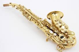 Yanagisawa Curved Soprano Saxophone Sc Wo10 Kb Sax