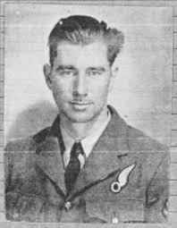 North American Mitchell, Roscommon