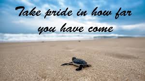 But don't forget to enjoy the journey. Take Pride In How Far You Have Come Youtube