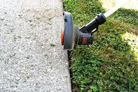 We did not find results for: Pin On Gardening