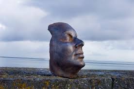 Profile for Timothy C. Flood