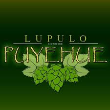 Lupulo is a framework developed in python and javascript used to build visualizations of data sent in real time. Lupulo Puyehue Home Facebook