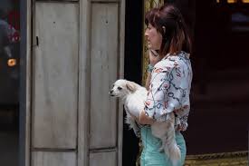 Στο tripadvisor θα βρείτε κριτικές από ταξιδιώτες, φωτογραφίες και χαμηλές τιμές για ξενοδοχεία (αθήνα, ελλάδα). Seismos Twra A8hna Ti Leei O Lekkas Gia Th Seismikh Donhsh Alphafreepress Gr