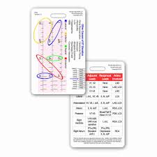 12 Lead Stemi Tool W Corresponding Vessels Chart Vertical Badge Card