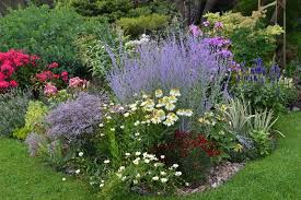 Garden Canadensis Sage Garden Grasses Landscaping Front House Landscaping
