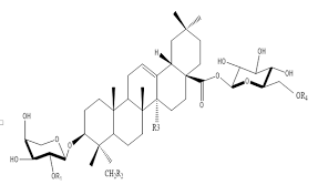 Image result for Fagonia isotricha