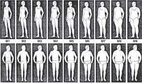 Options Presented To Select Body Shape At Age 5 And 20 Years