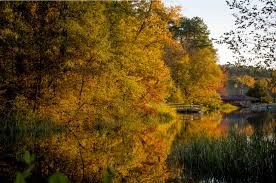 The falls are really neat and although i didn't cross the falls for a longer hike due to weather, it mckinney falls state park, texas is a wonderful and beautiful place to spend a few nights rv. 7 Amazing Places To See Beautiful Fall Colors In Texas Tour Texas