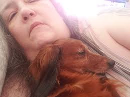 My name is: Sasha My breed: German Shepherd, long haired My age is: 4yrs 11  months My nickname: Sash Mosh, Fluffy, Chewbacca, Chewy My favorite human:  Mom My favorite human food: yogurt,