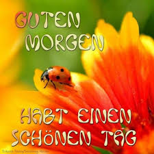 Pin Von Dana Krone Auf Guten Morgen Lustige Guten Morgen Grusse Guten Morgen Gruss Liebe Guten Morgen Grusse