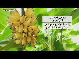 أطعمة تساعد مرضى ارتفاع ضغط الدم الشرياني Youtube