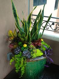 Container Gardening Flowers Container Gardening Plants