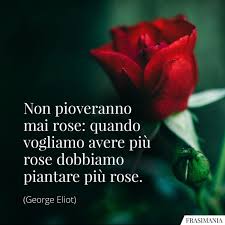 Scegli tra immagini premium su mazzo di rose della migliore qualità. Frasi Sulle Rose Le 25 Piu Belle In Inglese E Italiano Frasi Mania