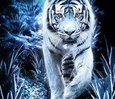 Kucing gambar unduh gambar gambar gratis pixabay. 31 Gambar Keren 3d Hewan Pin Oleh Wahyuarjaku Di Pangeran Harimau Putih Harimau Wallpapers Singa 3d Wallpaper Cave 81 Menggambar Harimau Gambar Keren Hewan