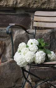 Dans Mon Jardin Secret Il Y A With Images White Flowers Beautiful Flowers White Gardens