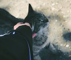 Posenya bikin netizen susah berkedip. Niqabista