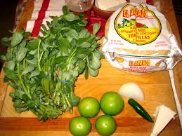 You'll love how the chicken falls apart and how the citrusy purslane compliments the wholesome flavour of the tomatillo salsa. How To Cook Verdolagas Aka Purslane