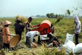 Dasar agromakanan 2011 2020 dasar agromakanan 2011 2020 ini merupakan kesinambungan kepada dasar pertanian negara ketiga 1998 2010 dpn3 bertujuan untuk meningkatkan. Populasi Penduduk Meningkat Tajam Ketahanan Pangan Perlu Diperkuat Ekonomi Bisnis Com