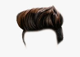 Hairstyle Png Hd In 2020 Photoshop Hair Hair Png Hair Photo