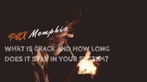 To pass the cocaine hair follicle test you have to follow all the steps of our reliable method: How Long Crack Stays In Your System Pax Memphis
