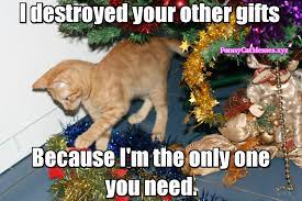 We did not find results for: The Only Thing You Need On Christmas Is Your Cat Christmas Meme