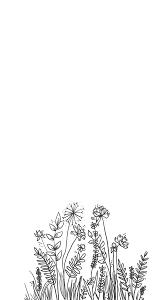 Check spelling or type a new query. Flower Line Art Wallpaper Shiffler Design And Photography In 2020 Flower Drawing Line Art Drawings Flower Doodles